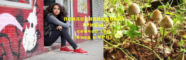 соль курить ск Медногорск