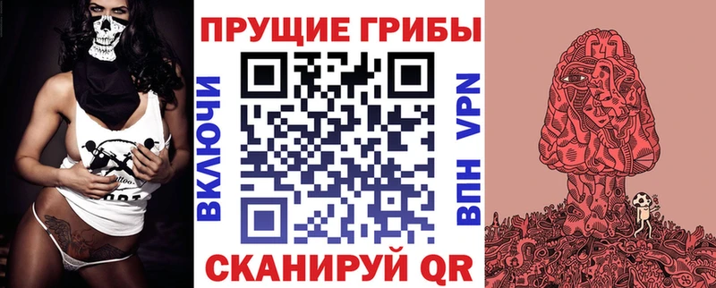 Псилоцибиновые грибы Psilocybe  магазин продажи   Ува 